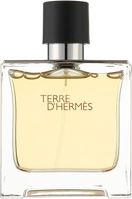 Hermes Terre d'Hermes - Духи — фото N1