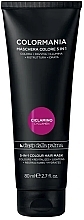 Тонувальна маска для фарбування волосся - Diego Dalla Palma Colormania 5 In 1 Color Mask — фото N1