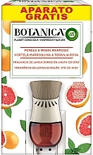 Парфумерія, косметика Електричний освіжувач повітря "Грейпфрут і м'ята" - Air Wick Botanica Grapefruit & Moroccan Mint