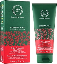 Шампунь для фарбованого волосся - Fresh Line Botanical Hair Remedies Coloured Porphyra — фото N2
