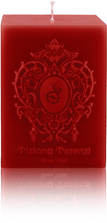 Tiziana Terenzi Spicy Snow - Парфюмированная свеча — фото N1