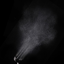 Спрей для прискорення сушіння волосся - L'Oreal Professionnel Serie Expert Curl Expression Drying Accelerator — фото N8