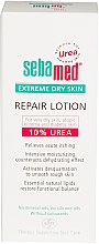Духи, Парфюмерия, косметика Лосьон для очень сухой кожи - Sebamed Extreme Dry Skin Repair Lotion 10% Urea