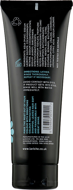 Шампунь для защиты цвета - La Rich'e Directions Colour Protecting Shampoo — фото N2