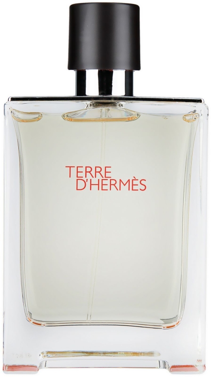 Hermes Terre d’Hermes - Набор (edt/100ml + edt/12.5ml + a/sh/lot/40ml) — фото N2