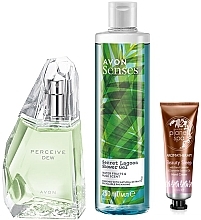 Духи, Парфюмерия, косметика Avon Perceive Dew - Набор (edt/50ml + sh/gel/250ml + h/cr/30ml)