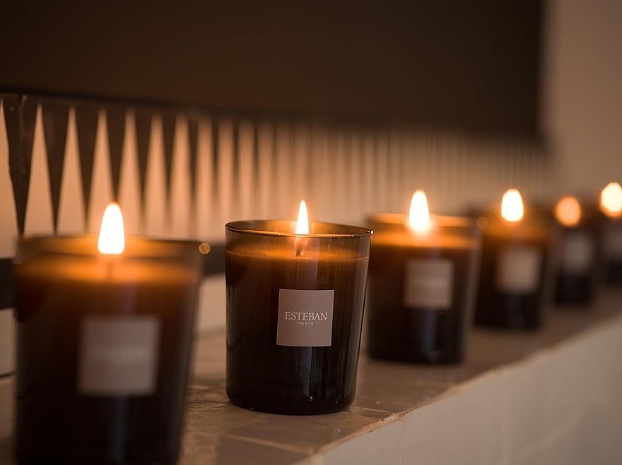Esteban Iris Cachemire Refillable Scented Candle - Парфумована свічка — фото N4