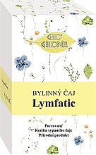 Травяной чай "Лимфатический", 20 пакетиков - Bione Cosmetics Lymfatic Herbal Tea XL — фото N1