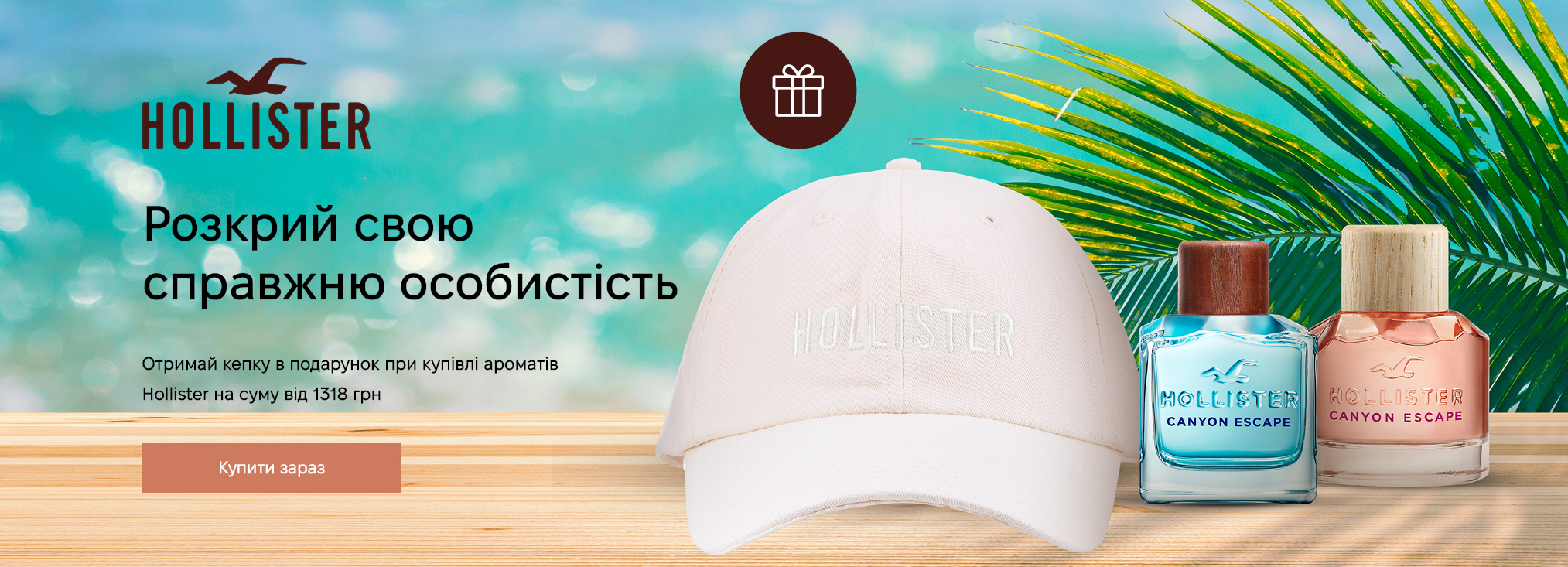 Hollister_442339