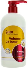 Духи, Парфюмерия, косметика Шампунь с плацентой для тонких волос - Salon Professional Volume 24 Hour