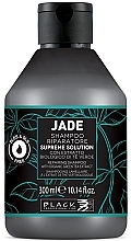 Парфумерія, косметика Ламелярний шампунь - Black Professional Line Black Jade Supreme Solution Shampoo