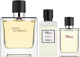 Hermes Terre d'Hermes Parfum - Набор (edt/75ml + edt/12.5ml + ash/lot/40ml) — фото N2