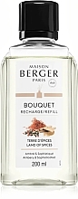 Рефіл для аромадифузору - Maison Berger Land Of Spices Reed Diffuser Refill — фото N1