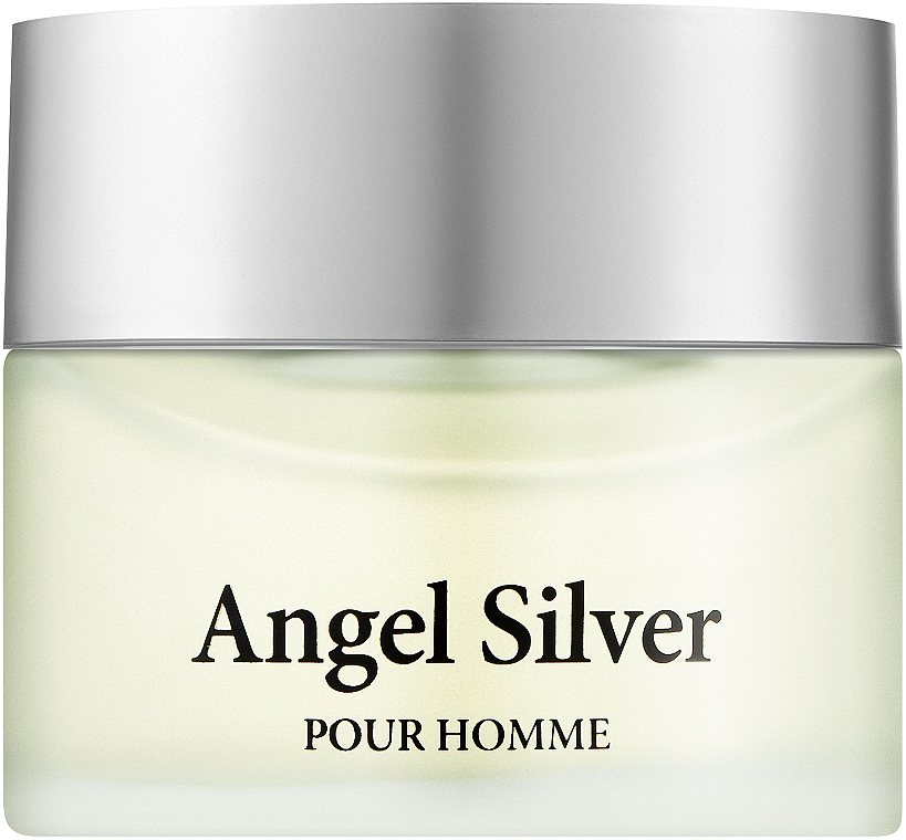 Аромат Angel Silver Pour Homme - Туалетная вода — фото N1