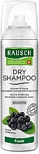 Парфумерія, косметика Сухий шампунь для волосся - Rausch Dry Shampoo Fresh