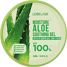 Парфумерія, косметика Зволожувальний гель з алое - Lebelage Moisture Aloe 100% Soothing Gel