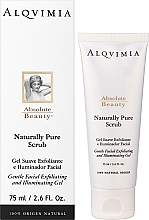 Скраб для лица - Alqvimia Naturally Pure Scrub Gentle Facial Exfolianting Gel — фото N2