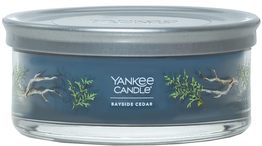 Ароматическая свеча на подставке "Кедр", 5 фителей - Yankee Candle Bayside Cedar Tumbler — фото N1