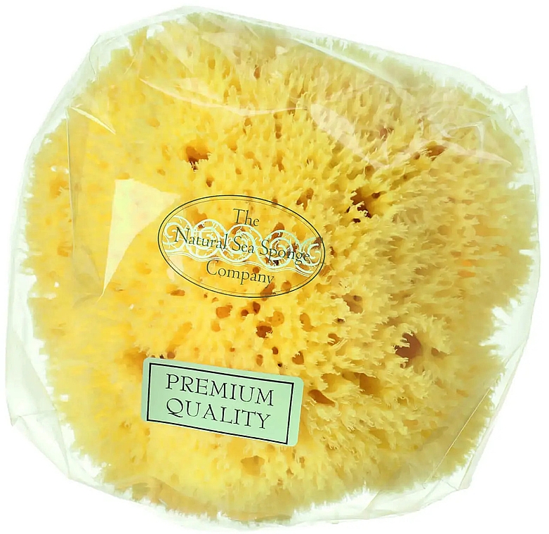 Натуральная морская губка, 17.8 см - Hydrea London Honeycomb Sea Sponge Premium Quality — фото N1