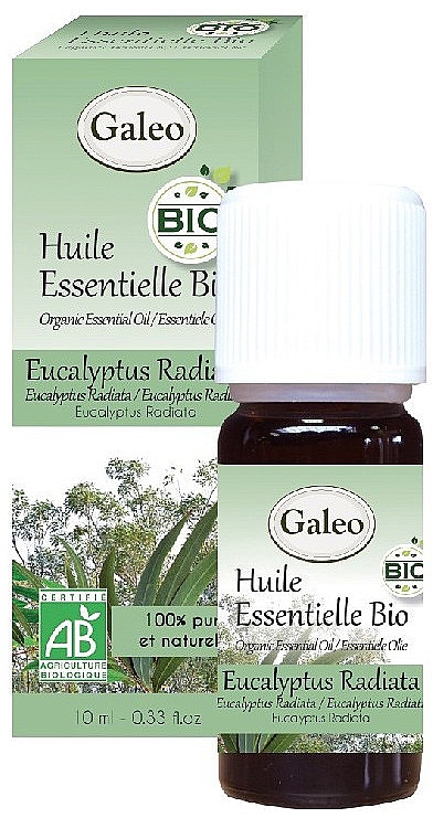 Органічна ефірна олія евкаліпта променистого - Galeo Organic Essential Oil Eucalyptus Radiata — фото N1