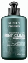 Парфумерія, косметика Шампунь і кондиціонер 2 в 1 - Redken For Men Mint Clean Shampoo