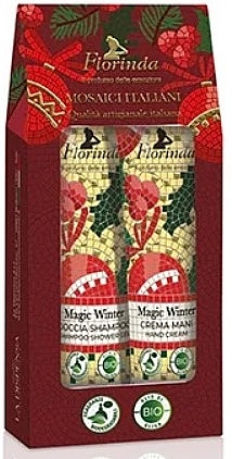 Різдвяний подарунковий набір - Florinda Magic Winter (shm gel/30ml + h/cr/30ml) — фото N1