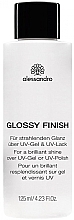 Рідина для блиску нігтів - Alessandro International Glossy Finish — фото N1