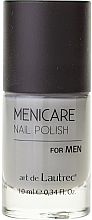 Парфумерія, косметика Лак для нігтів для чоловіків - Art De Lautrec MeniCare Nail Polish For Men *