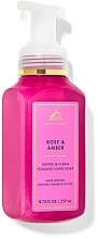 Мыло-пена для рук "Rose And Amber" - Bath and Body Works Rose And Amber Gentle Foaming Hand Soap — фото N1