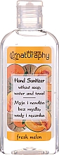 Спиртовой гель для рук с ароматом дыни - Naturaphy Alcohol Hand Sanitizer With Fresh Melon Fragrance (мини) — фото N1