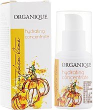 Духи, Парфюмерия, косметика Увлажняющий концентрат для лица - Organique Pumpkin line Concentrate