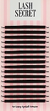 Накладные ресницы, черные, 16 линий (один размер, 0,05, D, 7) - Lash Secret — фото N1