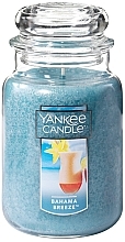Свічка у скляній банці - Yankee Candle Bahama Breeze — фото N1