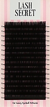 Накладные ресницы, черные, 16 линий (один размер, 0,05, C, 11) - Lash Secret — фото N1