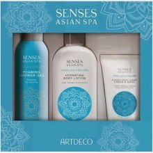 Духи, Парфюмерия, косметика Подарочный набор - Artdeco Senses Asian Spa Skin Purity Set (sh/gel/100ml + h/cr/75ml + b/lot/200ml)