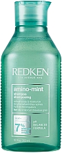 Духи, Парфюмерия, косметика Освежающий шампунь для контроля жирности кожи головы и увлажнения волос по длине - Redken Amino Mint Shampoo