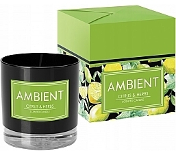 Ароматична свічка "Цитрусові й трави" - Bispol Ambient Citrus & Herbs Candles — фото N1