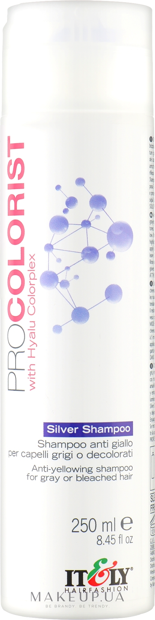 Шампунь для нейтралізації жовтизни - Itely Hairfashion Pro Colorist Silver — фото 250ml