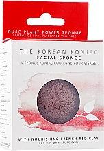Спонж для обличчя конжаку, з червоною глиною преміум - The Konjac Sponge Co French Red Clay Face Puff — фото N2