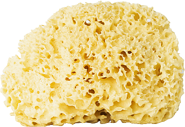 Натуральная губка, желтая, 9,5 см - Hhuumm 04H Natural Sponge — фото N1