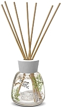 Духи, Парфюмерия, косметика Аромадиффузор "Bayside Cedar" - Yankee Candle Signature Reed Diffuser