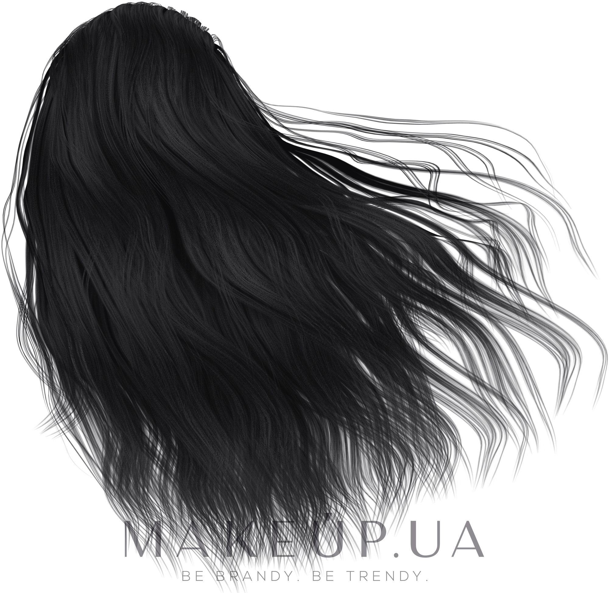 Стійка крем-фарба для волосся - Laboratoire Ducastel Subtil Creme Permanent Hair Color — фото 1 - Black