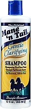 Нежный очищающий шампунь - Mane 'n Tail The Original Gentle Clarifying Shampoo — фото N1