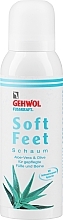Парфумерія, косметика Пінка з гіалуроновою кислотою "Алое вера й олія оливи" - Gehwol Fusskraft Soft Feet