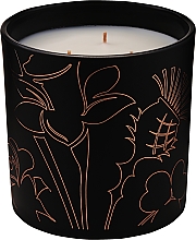 Noble Isle Fireside - Ароматична свічка з трьома ґнітами — фото N2