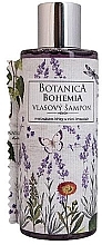 Духи, Парфюмерия, косметика Шампунь для волос "Лаванда" - Bohemia Gifts Botanica Lavender Hair Shampoo