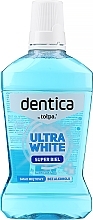 Ополіскувач для ротової порожнини - Dentica Dental Protection White Fresh — фото N1