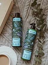 Шампунь для сухих волос - Vis Plantis Herbal Vital Care Shampoo For Dry And Matt Hair — фото N4