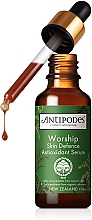 Парфумерія, косметика Антиоксидантна сироватка для обличчя - Antipodes Worship Skin Defence Antioxidant Serum