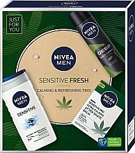 Набір - NIVEA MEN Sensitive Fresh (af/sh/bal/100ml + deo/150ml + sh/gel/250ml) — фото N1